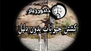 کشتن-حیوانات