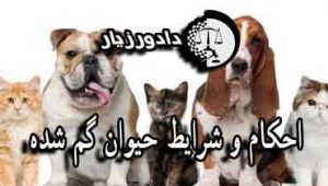 گمشده